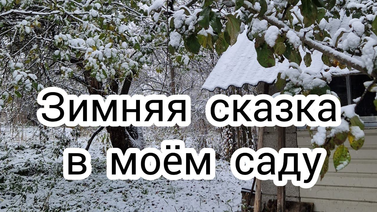 Зимняя сказка в моем саду.❄️ Новый домик у мышонка смотреть онлайн