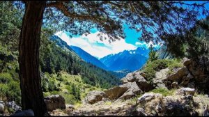 К  Кулиев  Каким бы малым ни был мой народ #стихиородине   #поэты20века #кабардинобалкария