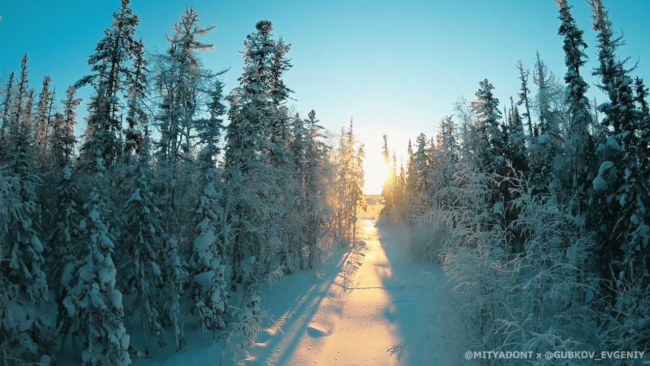 FPV Apex250 / Insta360 Go 2 / GoPro 6 Black / Kovykta