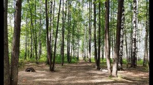 И  Бунин  Слово  #стихиовечныхценностях #поэтысеребряноговека