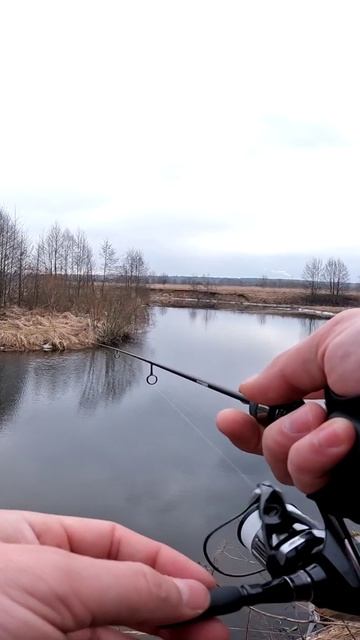 Abu Garcia Eradicator Realfinesse Prototype ERFS-46Pro-ST Navigator смотреть онлайн