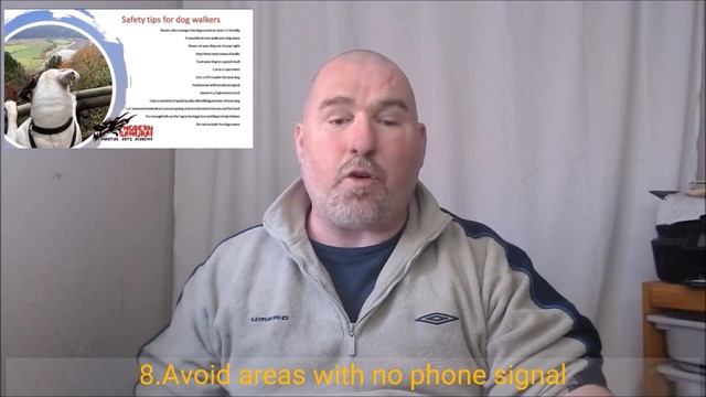 How to prevent your dog being stolen:12 tips for walking your dog safely смотреть онлайн