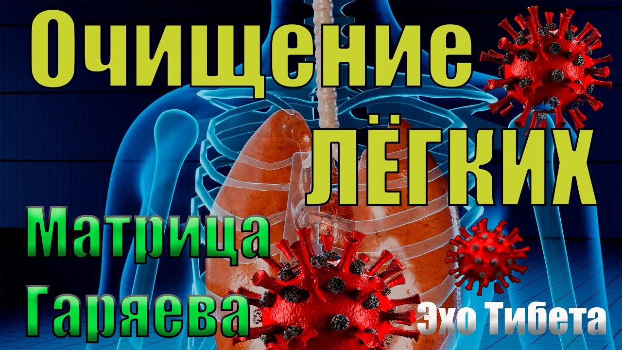 Революционная матрица очистки легких Гаряева: итоговое лекарство