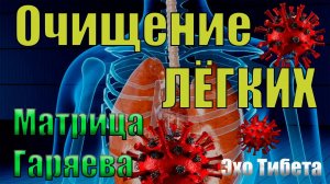 Революционная матрица очистки легких Гаряева: итоговое лекарство