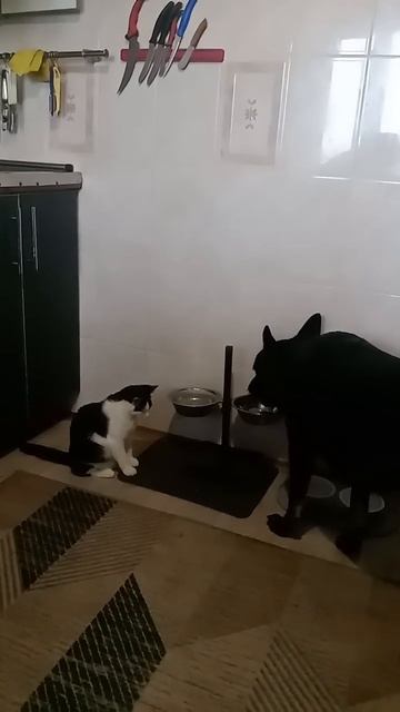 Жду и смотрю, поделится ли Чернуша или не... ;-)