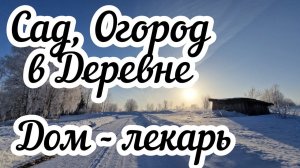 Сад, Огород в деревне  Строю планы. Дом - лекарь