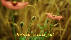 Очи открой нам (Ксения Лапицкая).