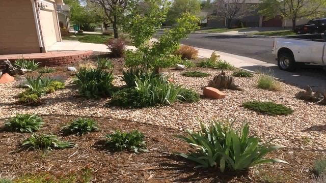 Front Yard Xeriscape Ideas смотреть онлайн