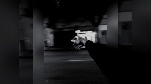 📹 Raikaho - Твой предатель (Slowed Remix 🖤❤ →