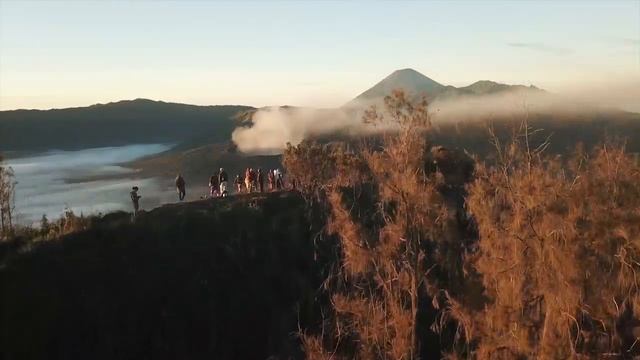 Get Involved B2 Unit 4 Vocabulary video смотреть онлайн