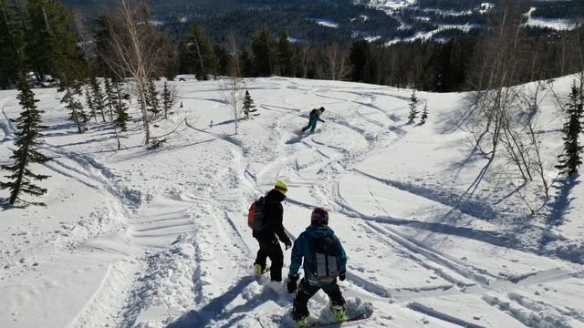 Шерегеш 2023, фрирайд и динозавры ❄️🦖 #sheregesh #Шерегеш #powder #сноубординг #snowboarding смотреть онлайн