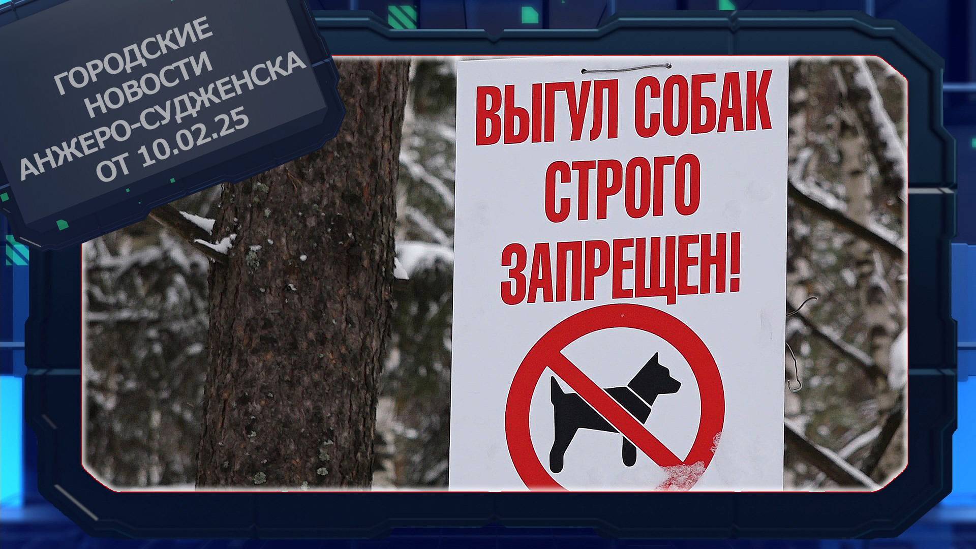 Городские новости Анжеро-Судженска от 10.02.25 смотреть онлайн