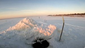 (30). Рыбалка. Налим во всей красе. 14.12.2021