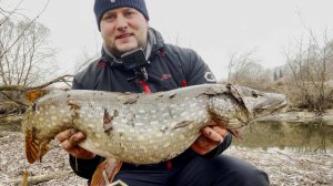 Ловля ЩУКИ на СПИННИНГ! РЫБАЛКА-МЕЧТА! ТРОФЕЙ на МАЛОЙ РЕКЕ