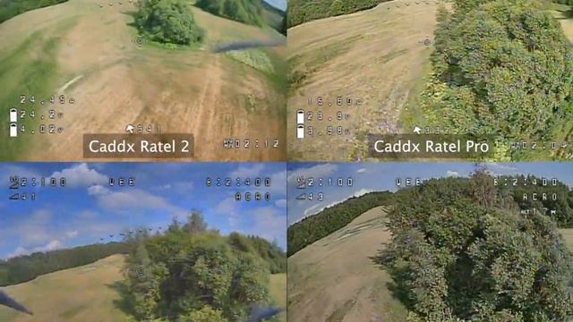 FPV Analog Camera testing | Caddx Ratel 2 | Caddx Ratel Pro | Foxeer T-Rex | Phoenix 2-PRO смотреть онлайн