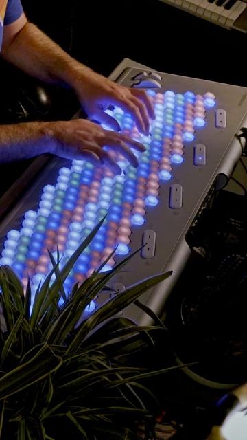 Пианино для психопатов))) смотреть онлайн