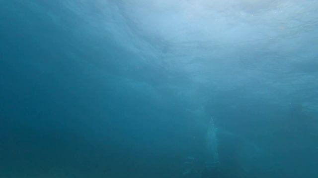 Scuba ok ponton Hotel Tropitel смотреть онлайн