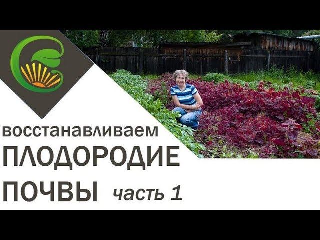Как я сделала почву плодородной, 1 часть. смотреть онлайн