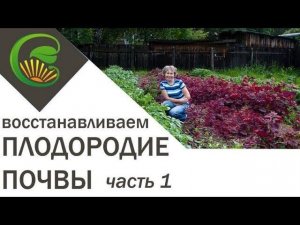 Как я сделала почву плодородной, 1 часть.