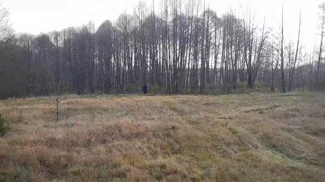 ПРИКОЛ //МАТЬ И МАЧЕХА //ДЕНЬГИ СНОСЯТ КРЫШИ смотреть онлайн