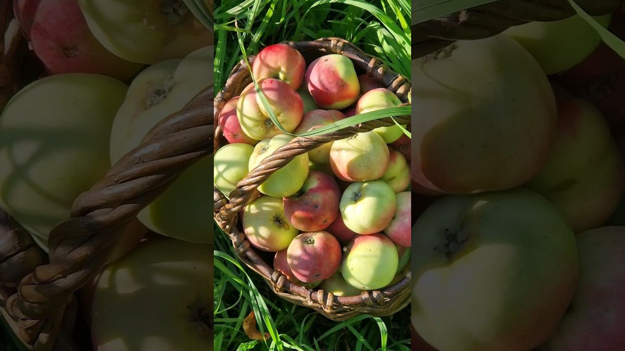 Полюбить себя?❤️ смотреть онлайн