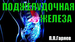Матрица Гаряева для поджелудочной железы #исцелениезвуком #пётргаряев #гаряев #матрица