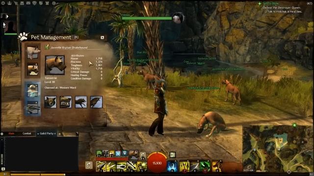 Guild Wars 2 - Ranger Pet Guide - Krytan Drakehound смотреть онлайн