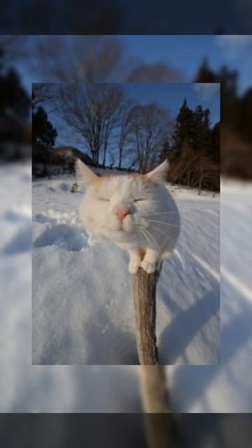 песня кайф 🎧 смотреть онлайн
