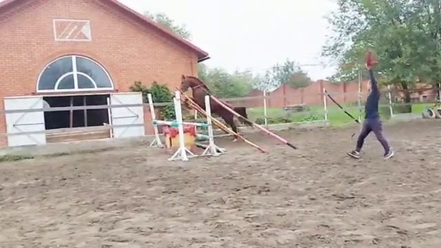 Герцог смотреть онлайн