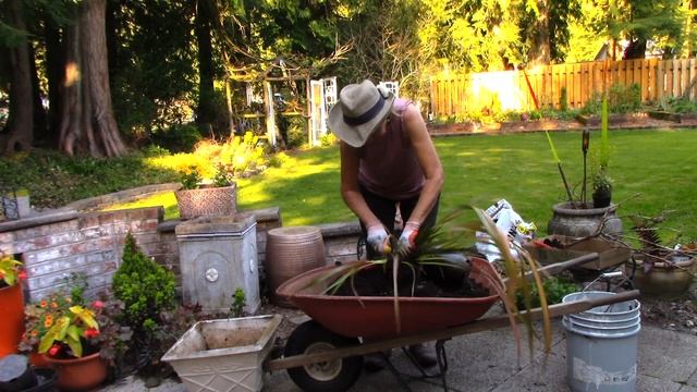 Two Dirt Cheap Gardening Tips смотреть онлайн
