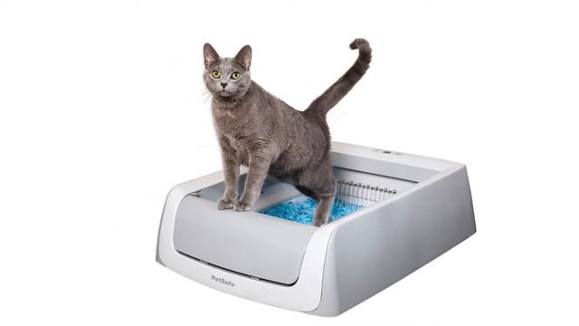 Best Clumping Litter for Litter Robot of 2025 [Updated] смотреть онлайн