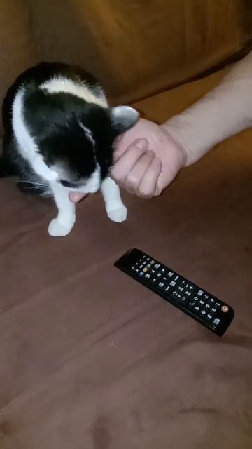 Даниссимо... Вкусненько... :-)