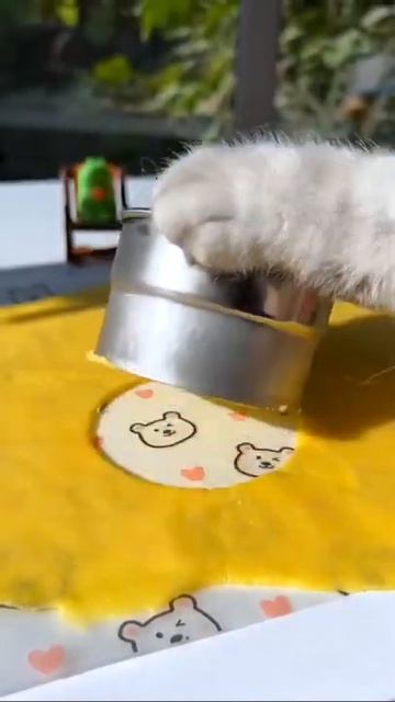 Готовим лапками😹Кот шеф повар смотреть онлайн