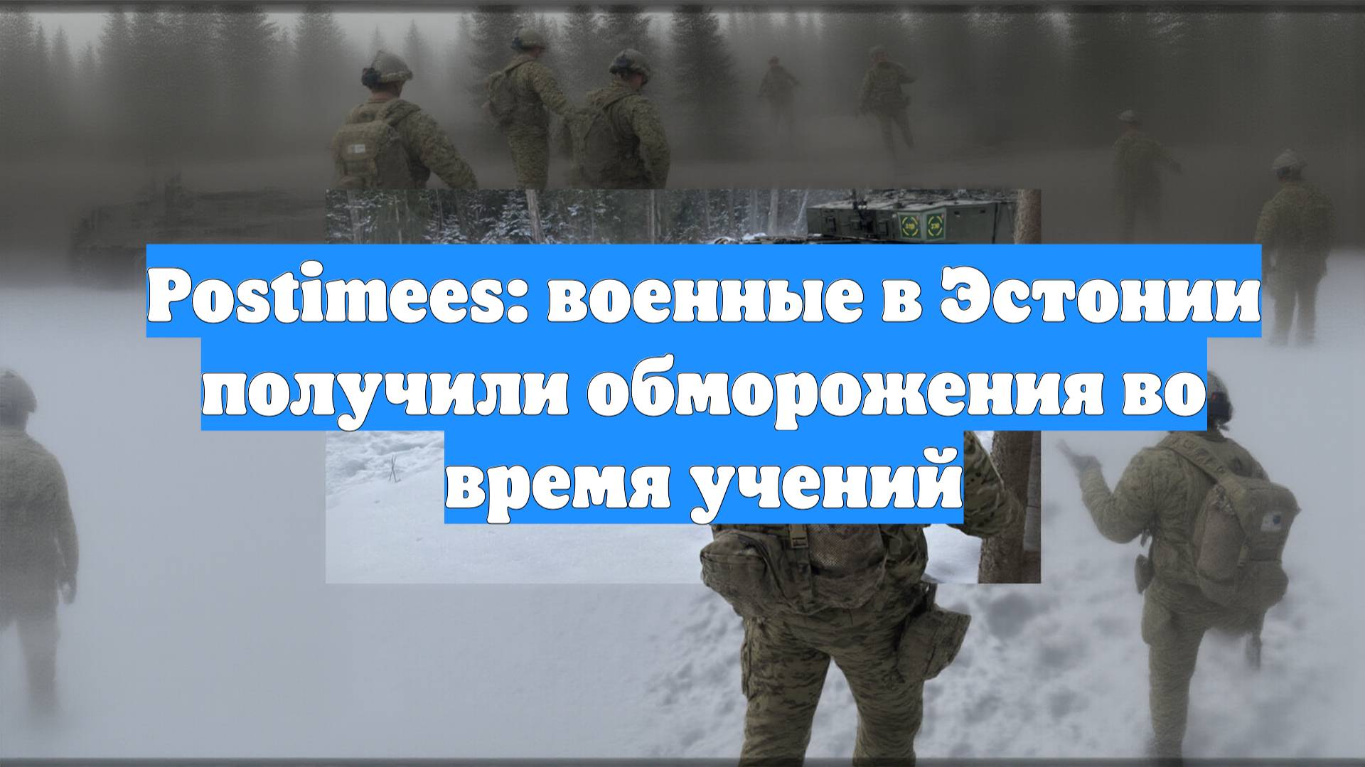 Postimees: военные в Эстонии получили обморожения во время учений