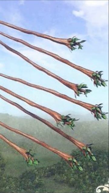 Младший Аркан Восьмёрка Жезлов. Значение карты. Двустороннее таро. Vice Versa. смотреть онлайн