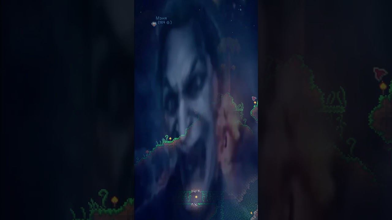 ПОСХАЛКО В ТЕРРАРИИ на сервере ТСНГ #terraria #террария #shorts смотреть онлайн