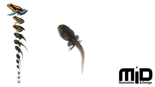 Darfrog life смотреть онлайн