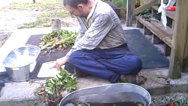 Parsnips смотреть онлайн