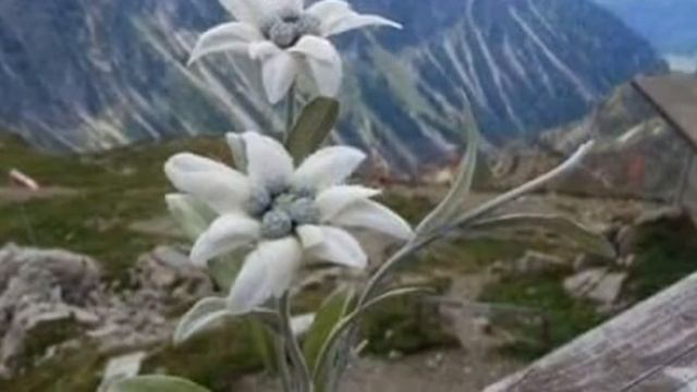 12 октября 2021 г. смотреть онлайн