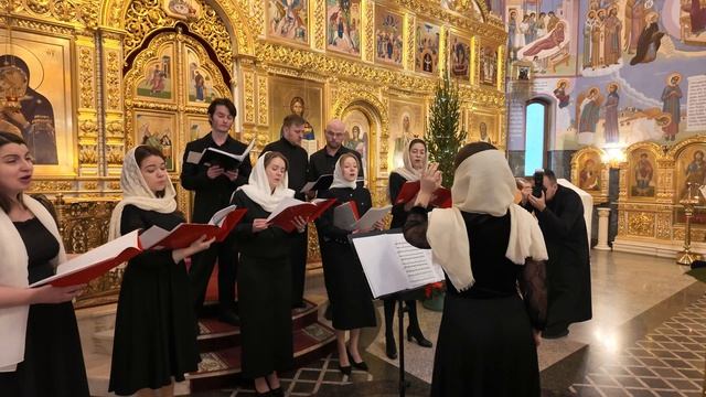 Рождественская колядка «Щедрик» (Н.Леонтович) смотреть онлайн
