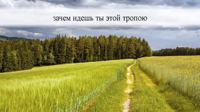 Небесный Свет учения Христа. смотреть онлайн