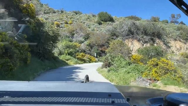 Unbelievable Bison Adventure Awaits: Catalina Island Tour 2023 смотреть онлайн