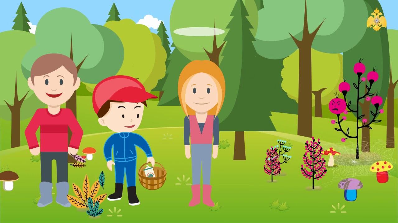 Правила безопасного поведения в лесу смотреть онлайн