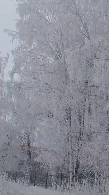 Зимняя сказка смотреть онлайн