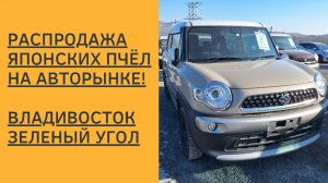 ЦЕНЫ 2025 НА РЫНКЕ ШОКИРУЮТ! ВЛАДИВОСТОК! ЗЕЛЕНЫЙ УГОЛ!