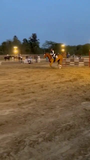 Horse high jumping #youtubeshorts #horse #horselover # small boy #equestrianrider смотреть онлайн