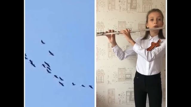 Журавли Альбина Ногина.Открытый интернет фестиваль "Мы помним!". ДМШ им.А.Г.Абузарова. смотреть онлайн