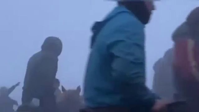 Алмалының салым көкпары. смотреть онлайн