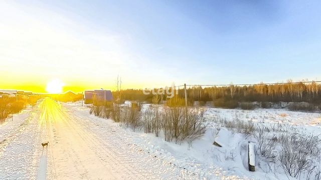 4463002 смотреть онлайн