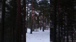 №70 Гармонизация и восстановление полей пространств многомерности